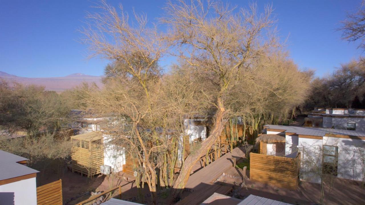 Lodge Quelana Сан Педро де Атакама Екстериор снимка